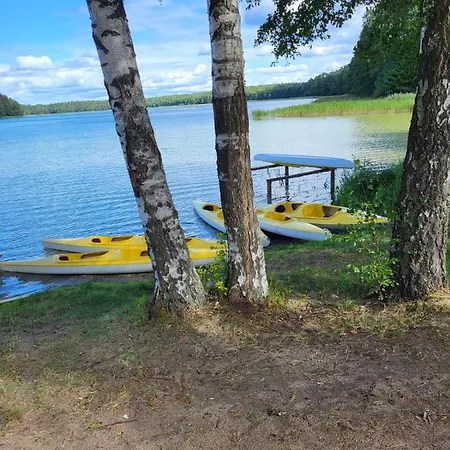 Lesna Zagroda - - Teznia, Sauna, Balia * Dominikowo