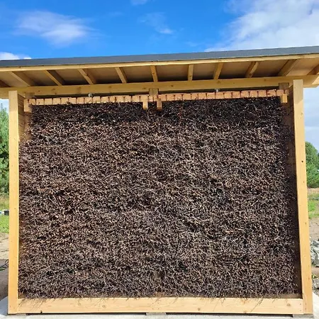 Lesna Zagroda - - Teznia, Sauna, Balia Dominikowo