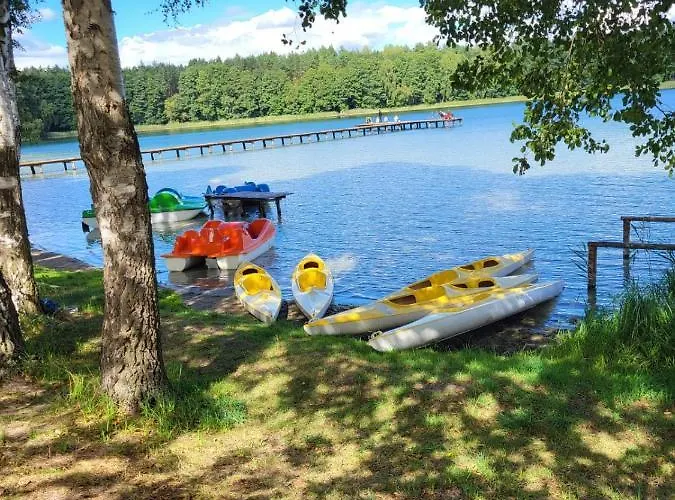 Lesna Zagroda - - Teznia, Sauna, Balia Сasa de vacaciones Dominikowo