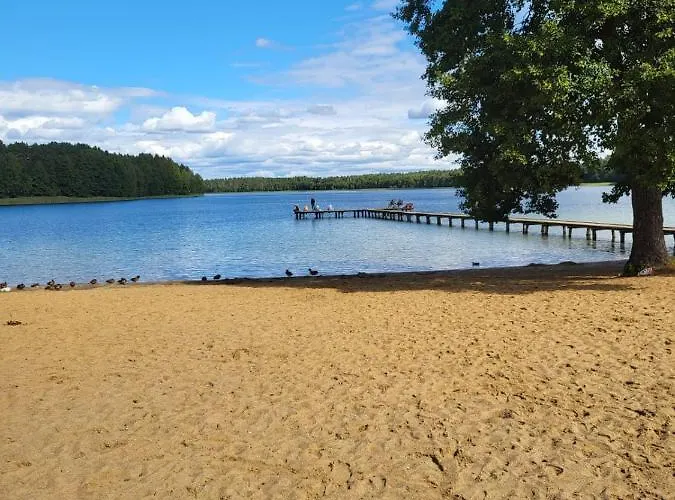 Lesna Zagroda - - Teznia, Sauna, Balia * Dominikowo
