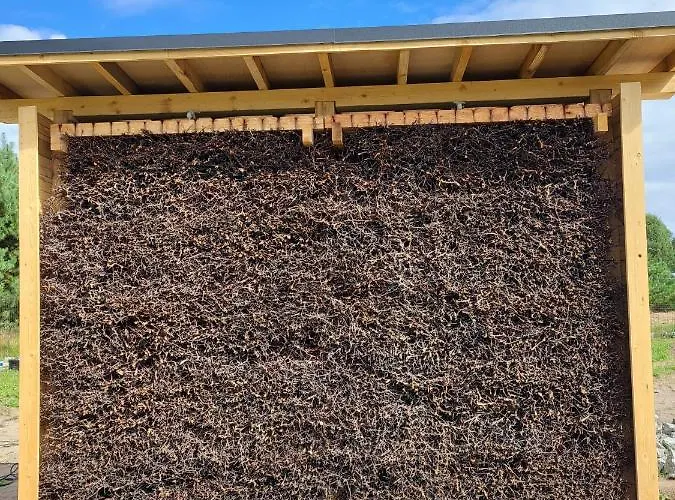 Lesna Zagroda - - Teznia, Sauna, Balia Dominikowo